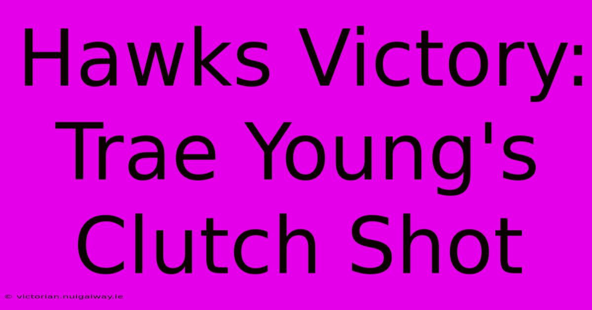 Hawks Victory: Trae Young's Clutch Shot