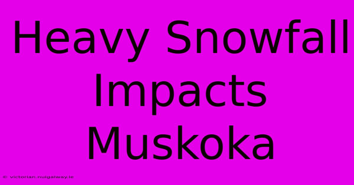 Heavy Snowfall Impacts Muskoka