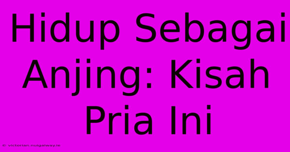 Hidup Sebagai Anjing: Kisah Pria Ini