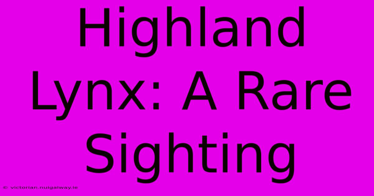 Highland Lynx: A Rare Sighting