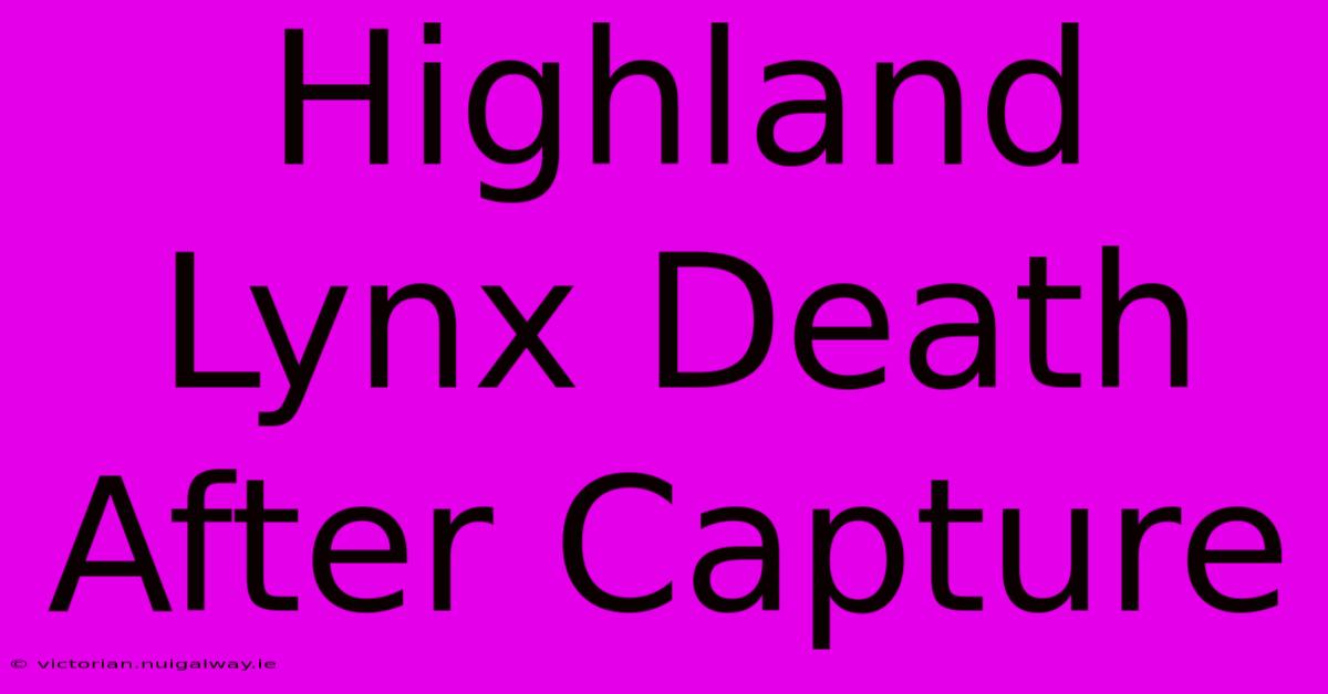 Highland Lynx Death After Capture