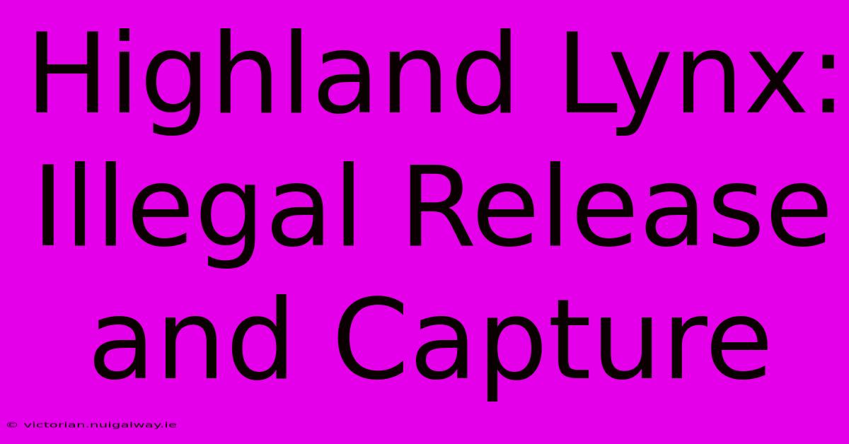 Highland Lynx: Illegal Release And Capture