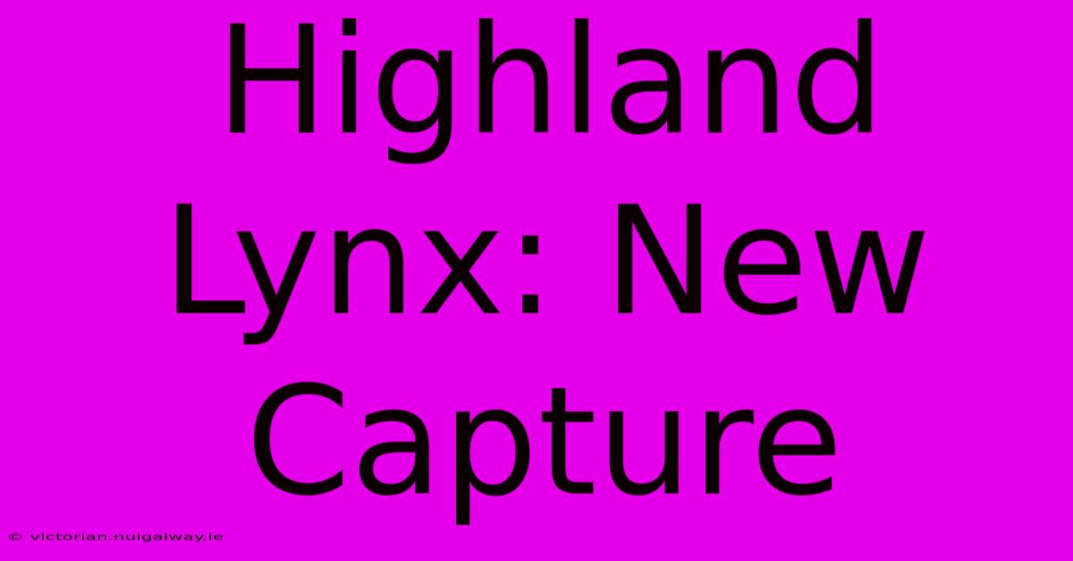 Highland Lynx: New Capture