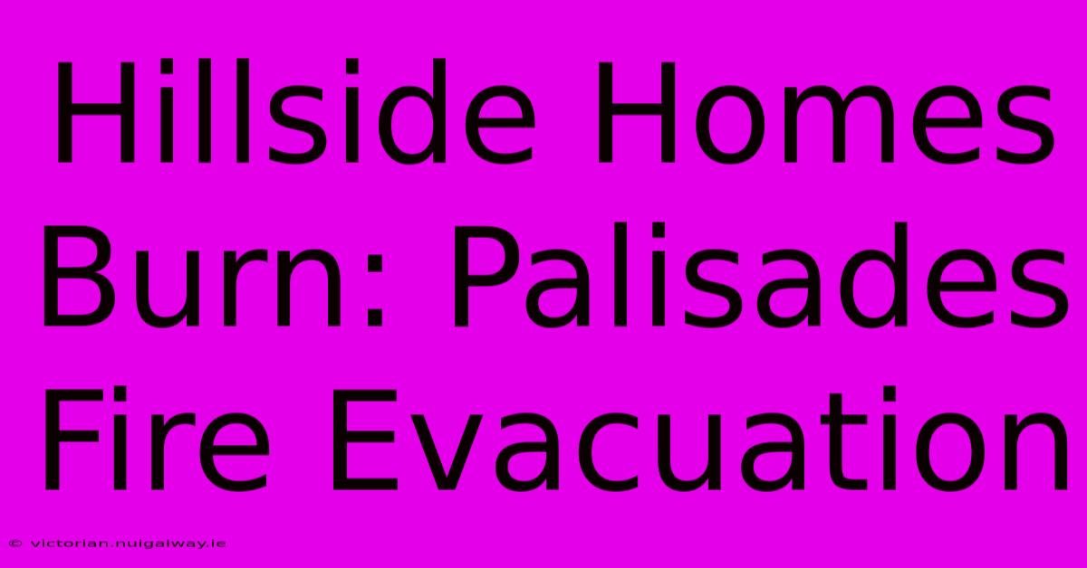 Hillside Homes Burn: Palisades Fire Evacuation