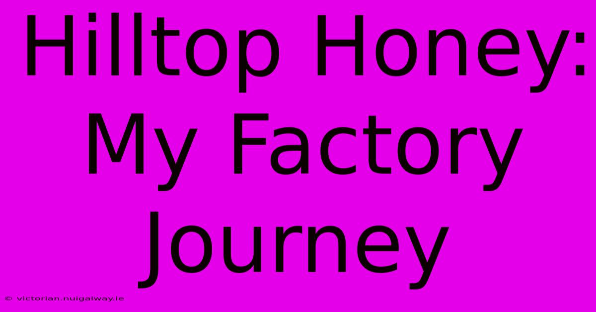 Hilltop Honey: My Factory Journey