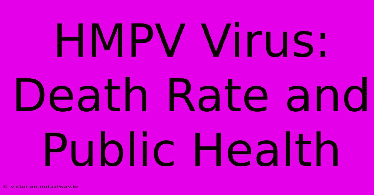 HMPV Virus: Death Rate And Public Health