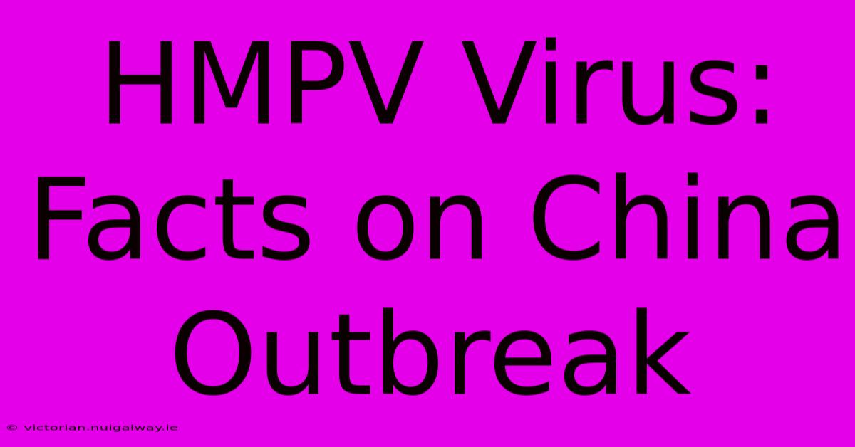 HMPV Virus: Facts On China Outbreak