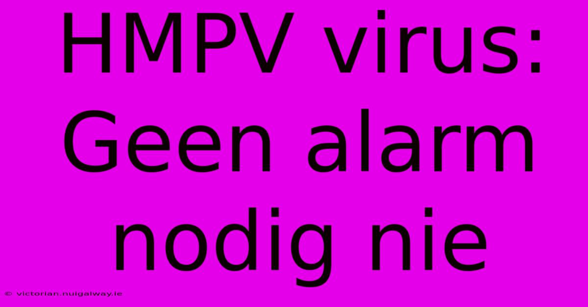 HMPV Virus: Geen Alarm Nodig Nie