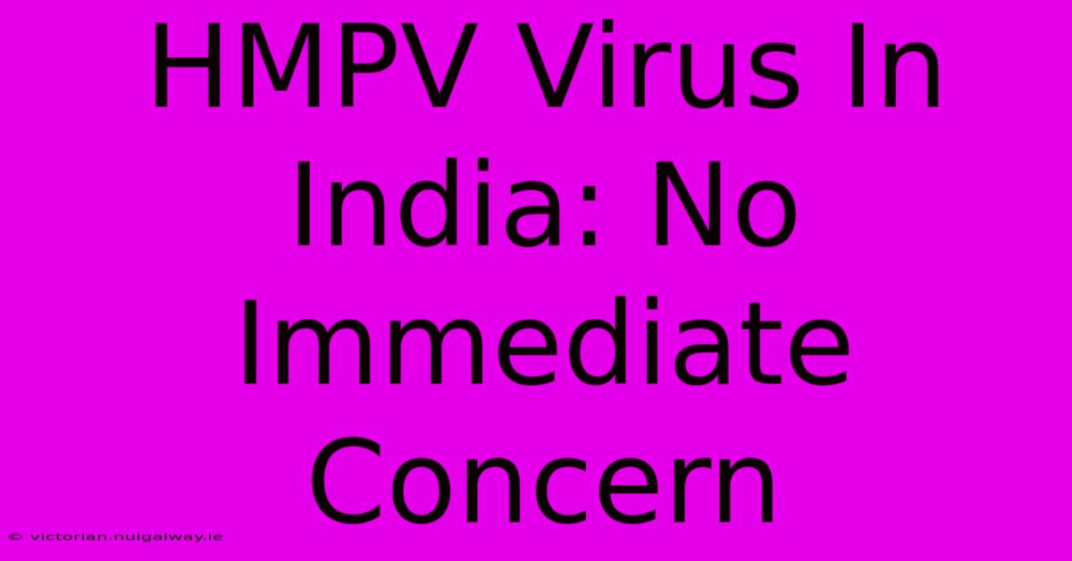 HMPV Virus In India: No Immediate Concern