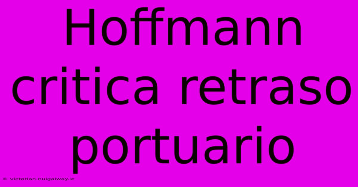 Hoffmann Critica Retraso Portuario