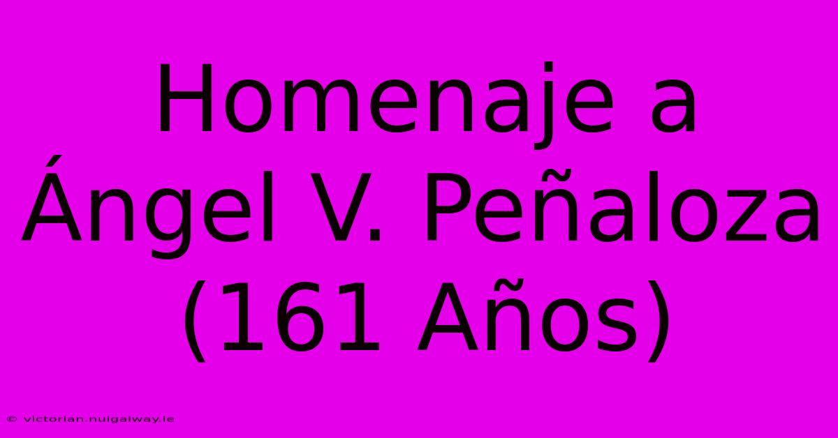 Homenaje A Ángel V. Peñaloza (161 Años)