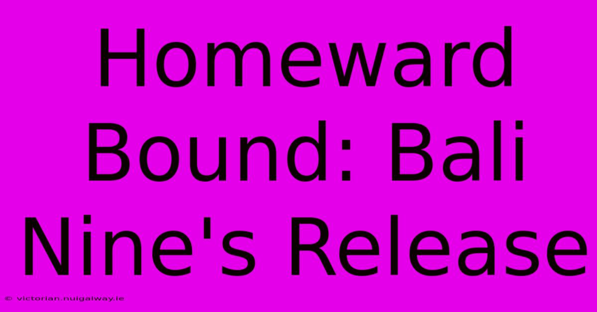 Homeward Bound: Bali Nine's Release