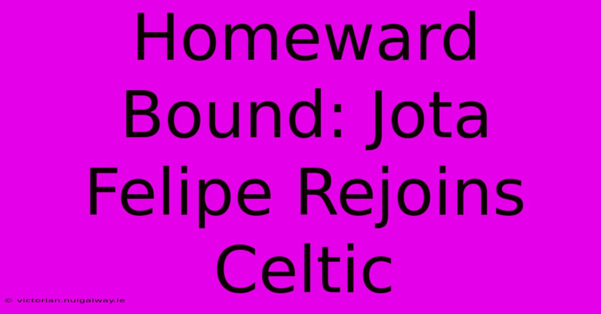 Homeward Bound: Jota Felipe Rejoins Celtic