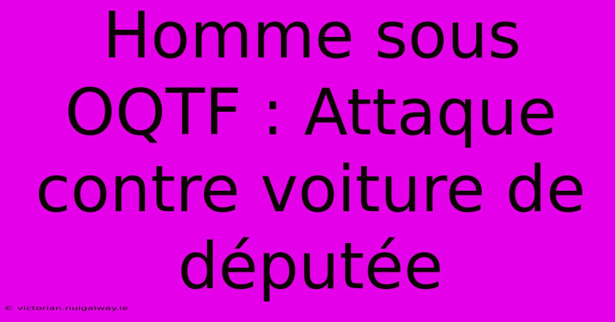 Homme Sous OQTF : Attaque Contre Voiture De Députée 