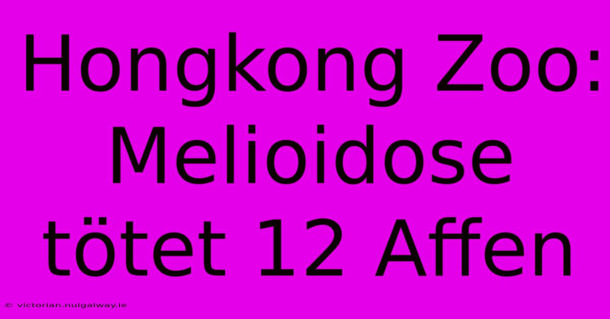 Hongkong Zoo: Melioidose Tötet 12 Affen