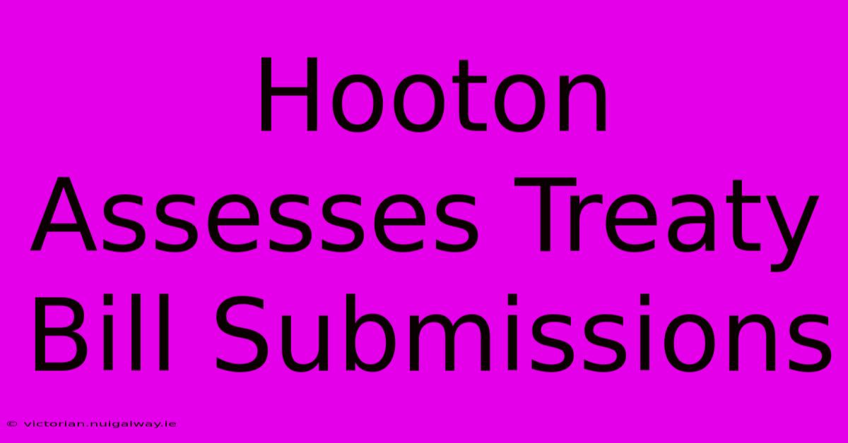 Hooton Assesses Treaty Bill Submissions