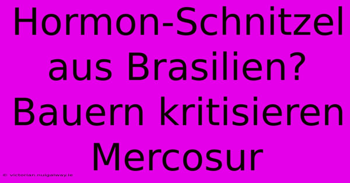 Hormon-Schnitzel Aus Brasilien? Bauern Kritisieren Mercosur