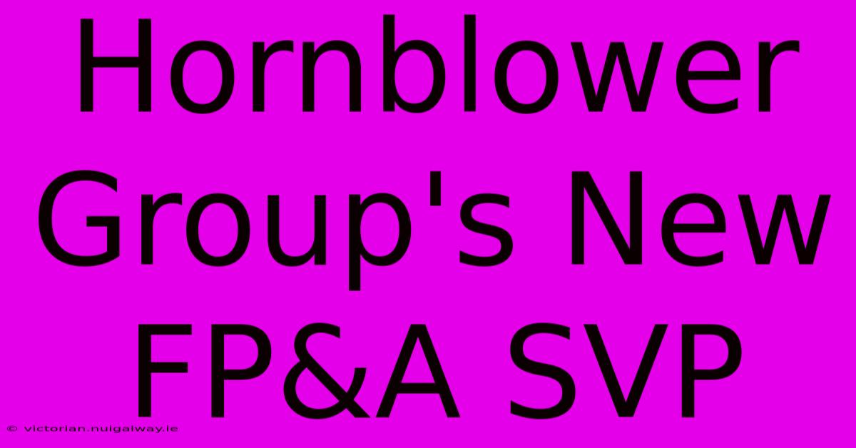 Hornblower Group's New FP&A SVP