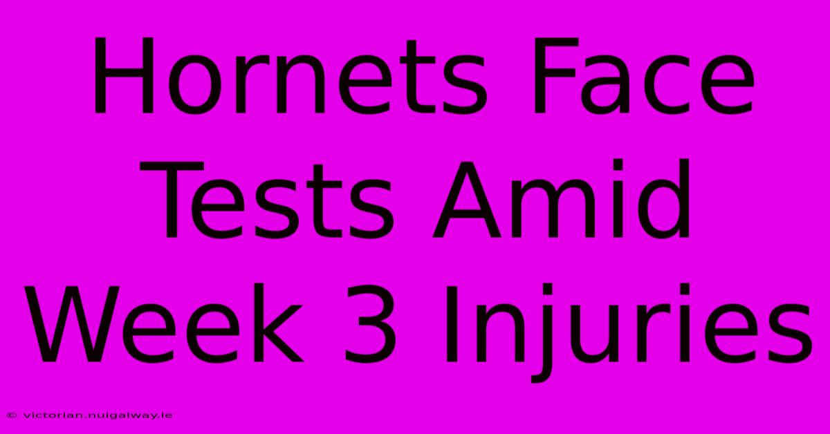 Hornets Face Tests Amid Week 3 Injuries