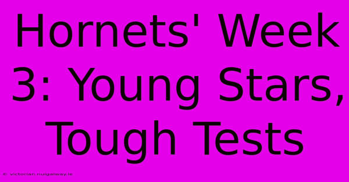 Hornets' Week 3: Young Stars, Tough Tests 