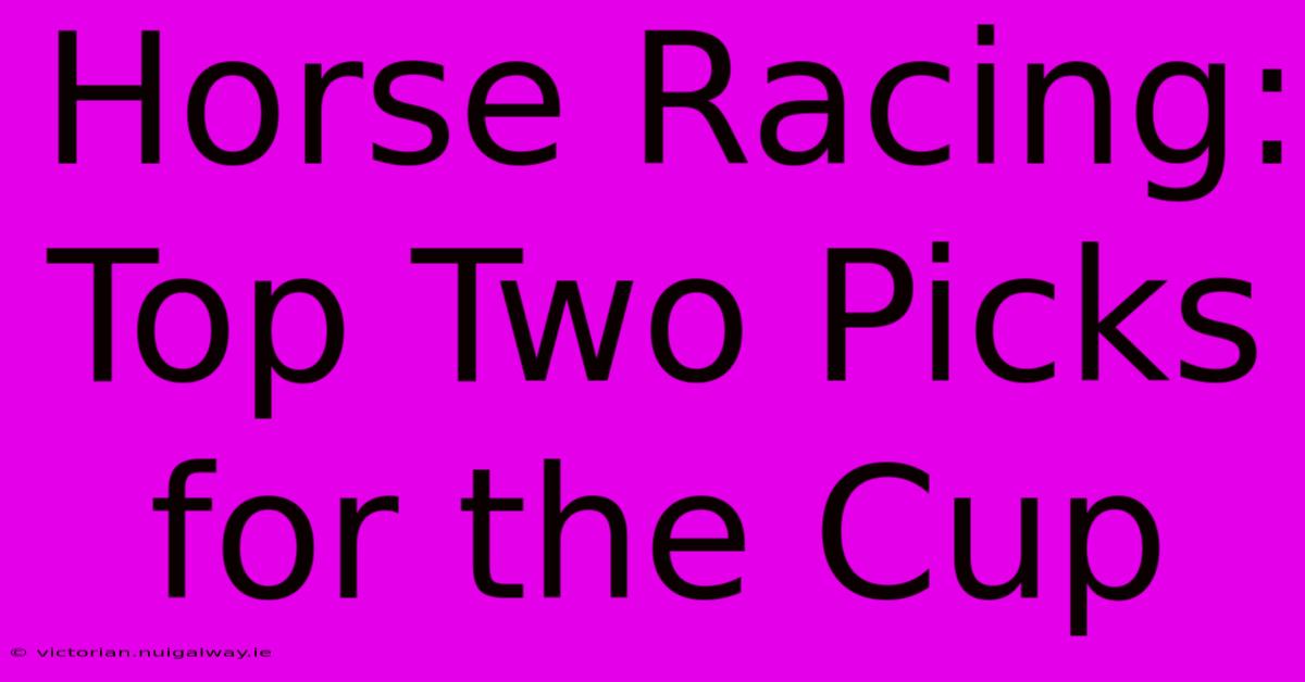 Horse Racing: Top Two Picks For The Cup