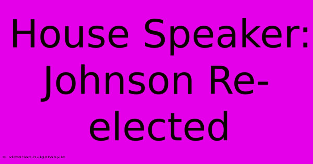 House Speaker: Johnson Re-elected