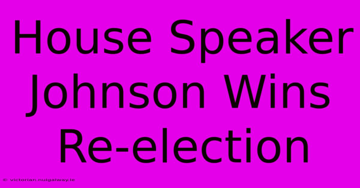 House Speaker Johnson Wins Re-election