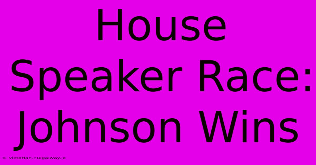 House Speaker Race: Johnson Wins