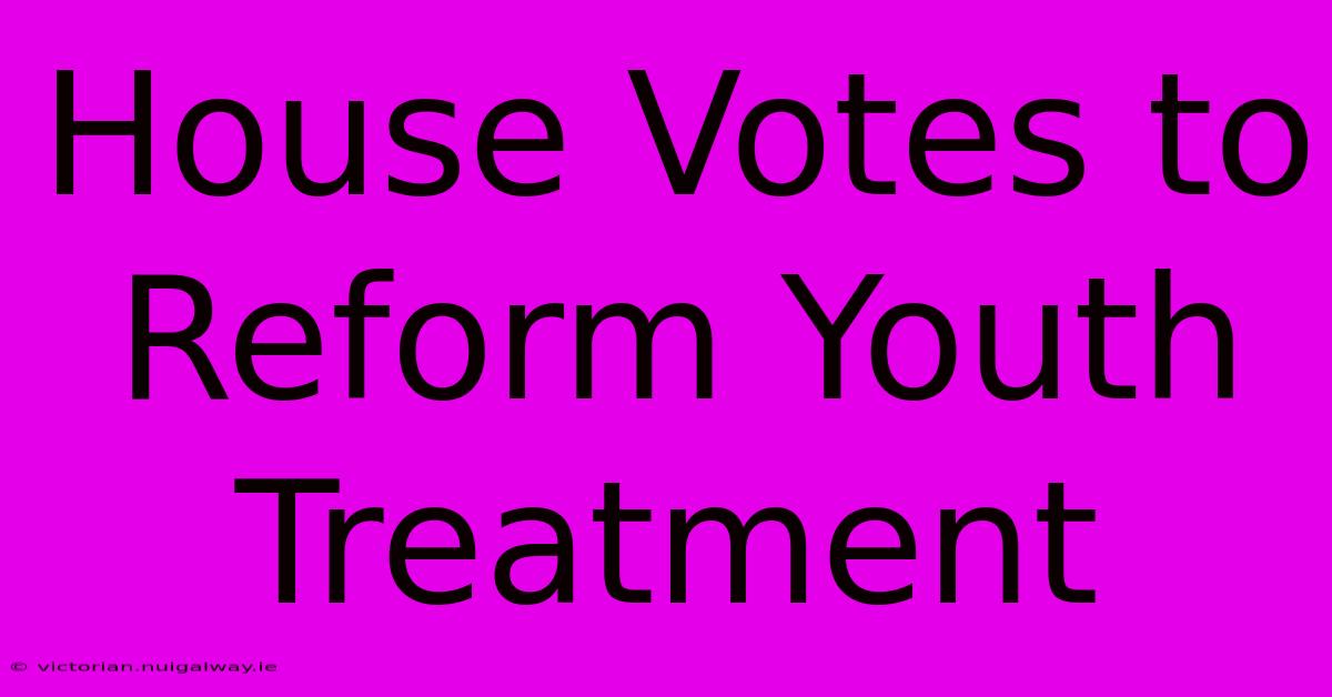 House Votes To Reform Youth Treatment