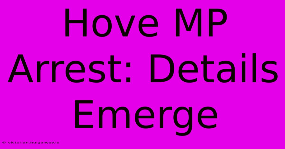 Hove MP Arrest: Details Emerge