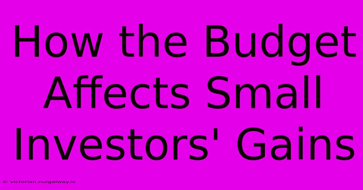 How The Budget Affects Small Investors' Gains