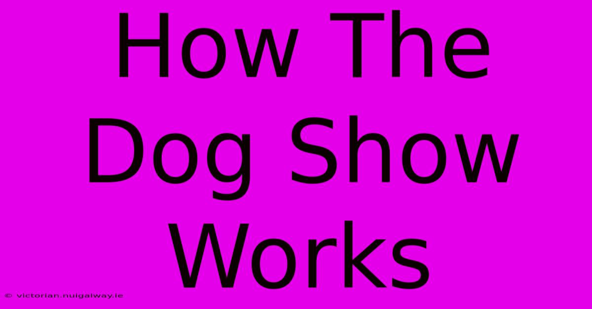 How The Dog Show Works