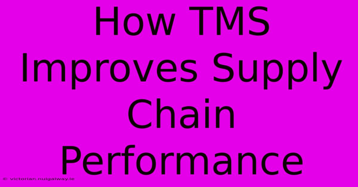 How TMS Improves Supply Chain Performance