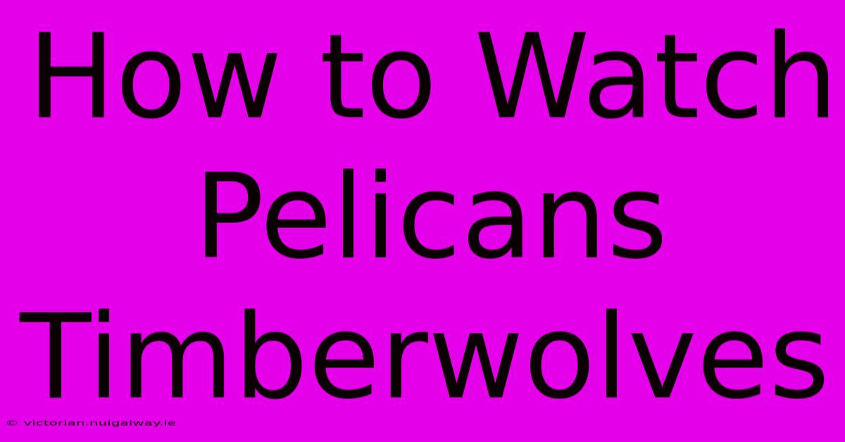 How To Watch Pelicans Timberwolves