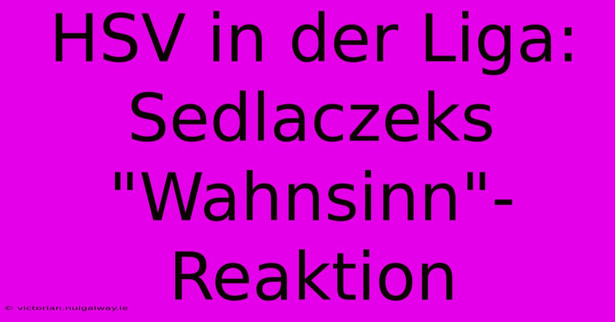 HSV In Der Liga: Sedlaczeks 