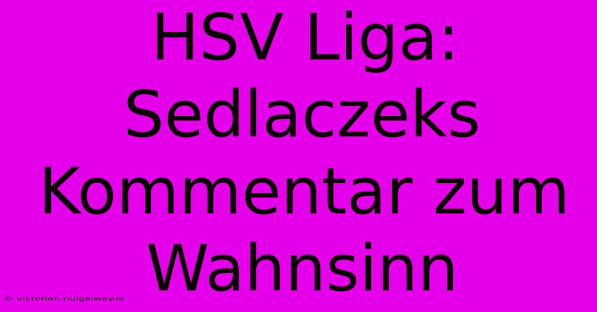 HSV Liga: Sedlaczeks Kommentar Zum Wahnsinn