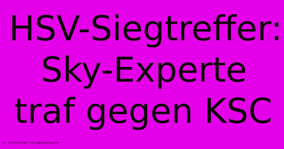 HSV-Siegtreffer: Sky-Experte Traf Gegen KSC