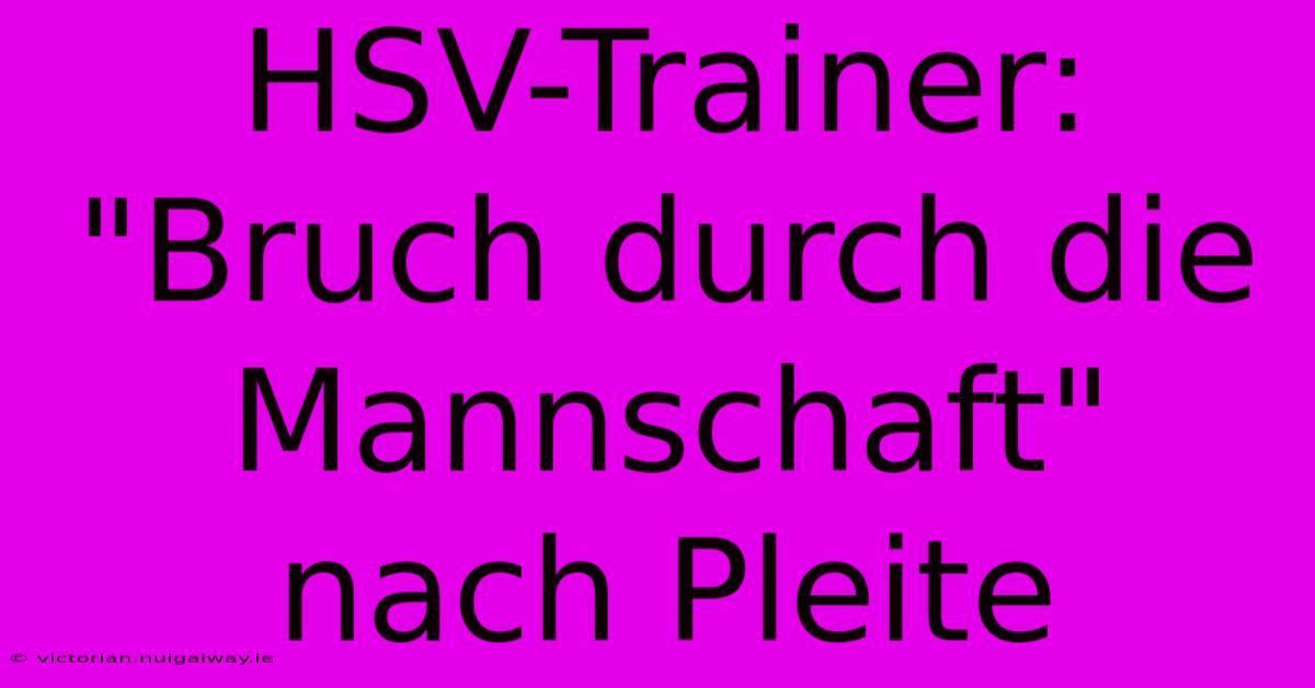 HSV-Trainer: 