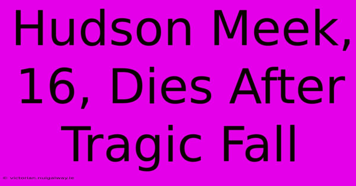 Hudson Meek, 16, Dies After Tragic Fall