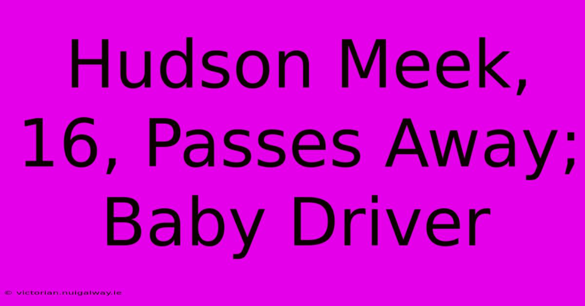 Hudson Meek, 16, Passes Away; Baby Driver