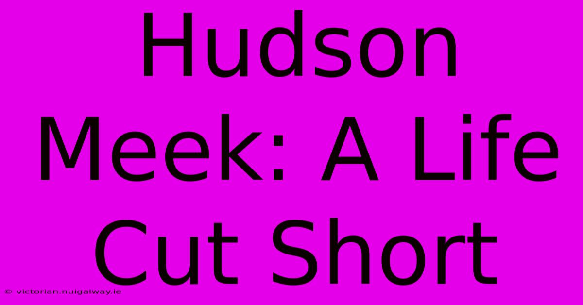 Hudson Meek: A Life Cut Short