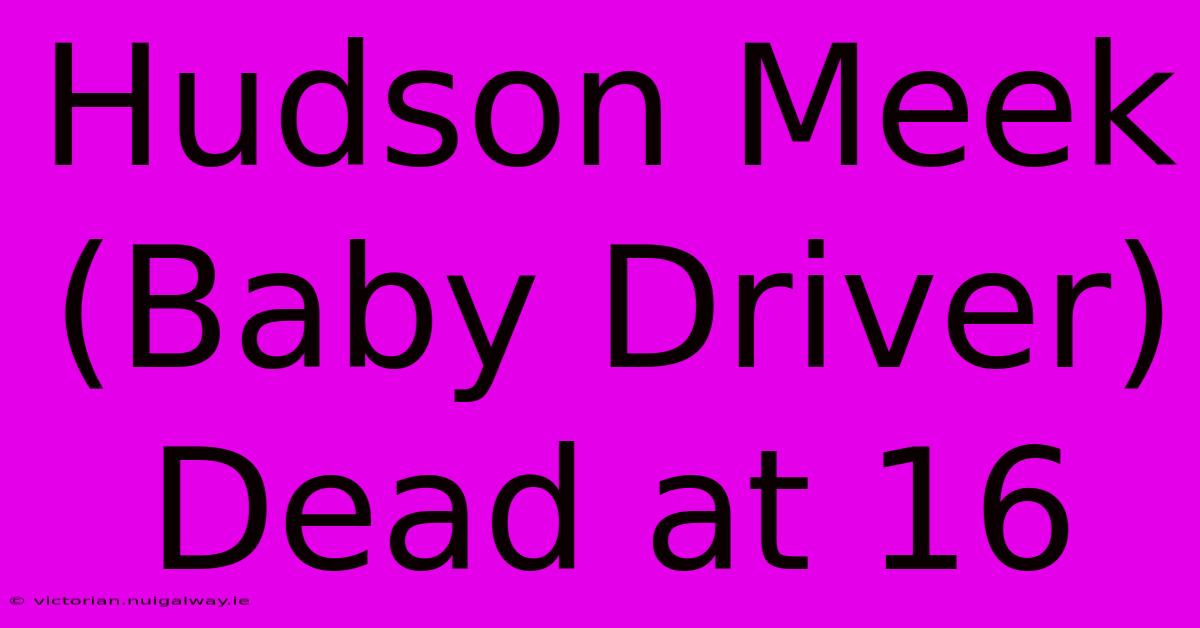 Hudson Meek (Baby Driver) Dead At 16