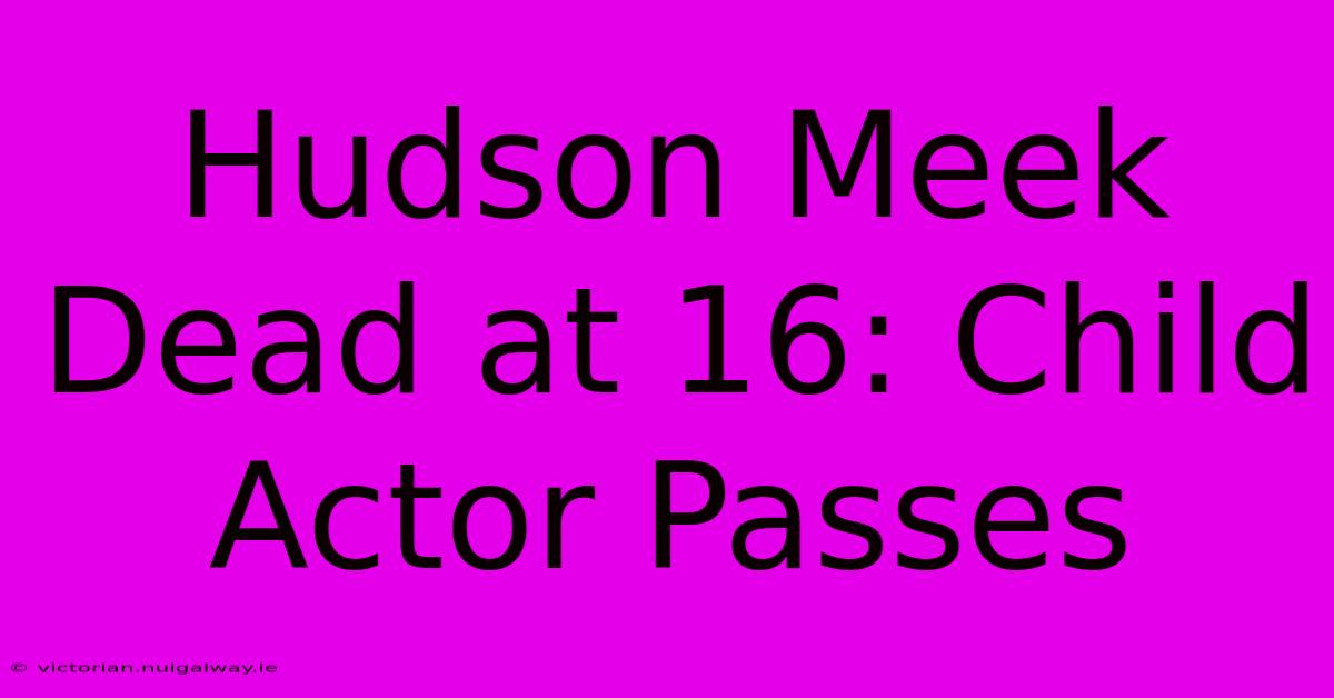 Hudson Meek Dead At 16: Child Actor Passes