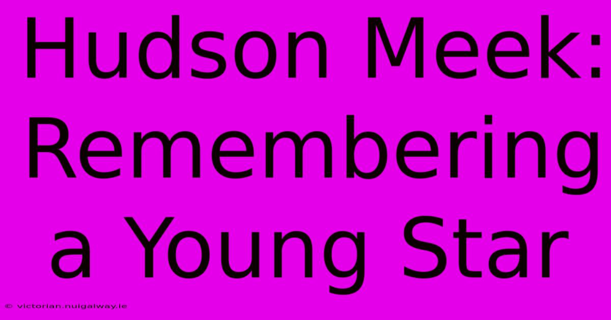 Hudson Meek: Remembering A Young Star