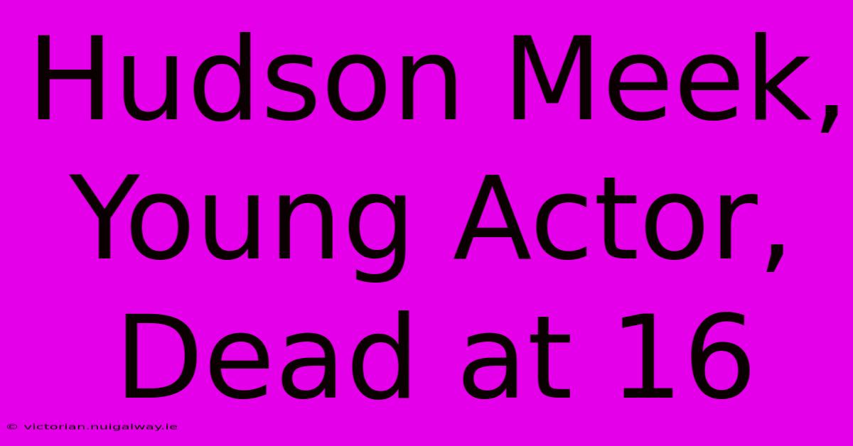 Hudson Meek, Young Actor, Dead At 16