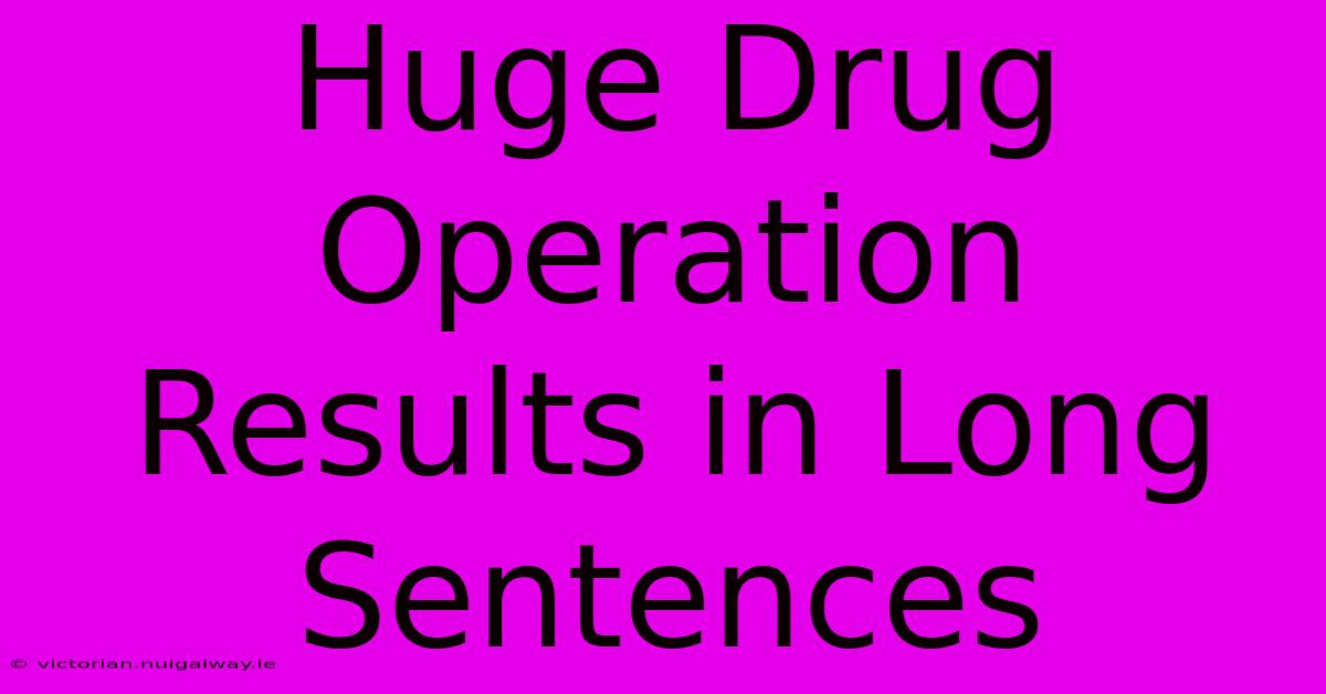 Huge Drug Operation Results In Long Sentences