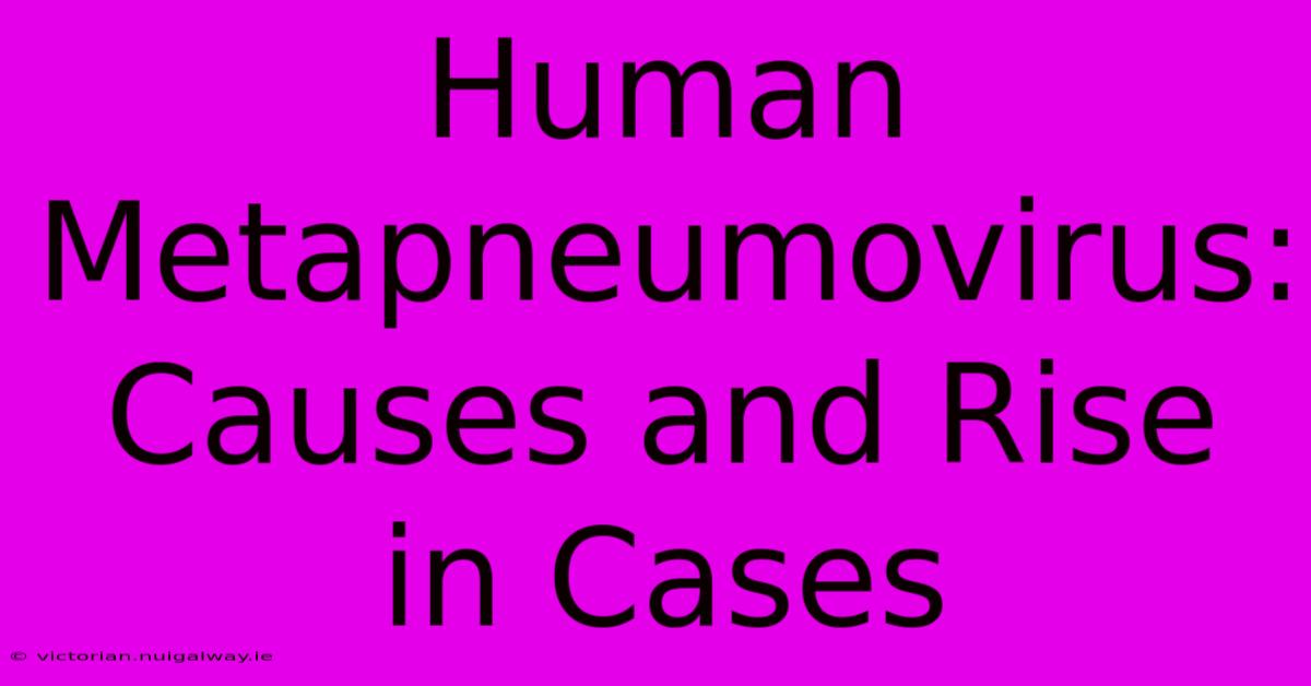 Human Metapneumovirus: Causes And Rise In Cases