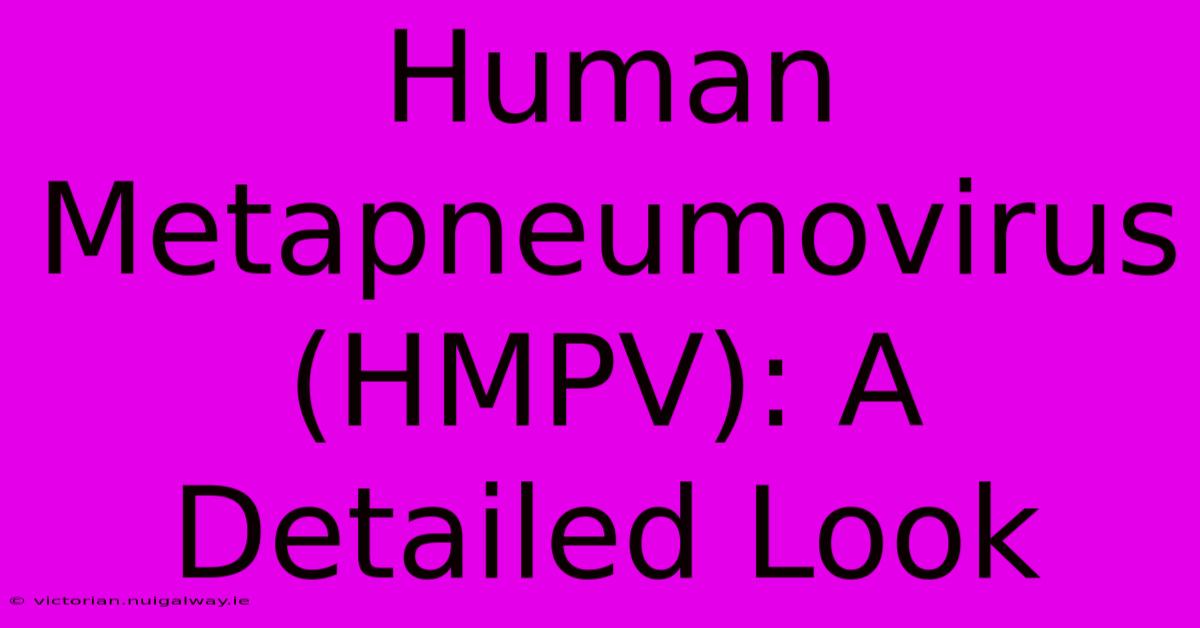 Human Metapneumovirus (HMPV): A Detailed Look