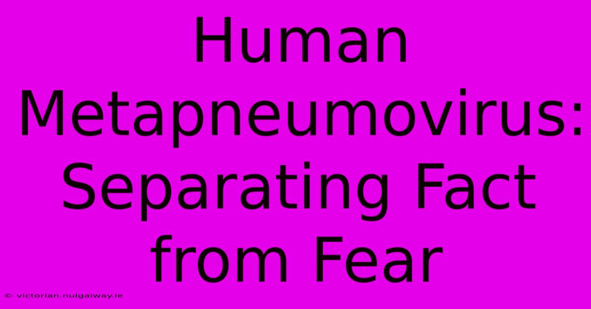 Human Metapneumovirus: Separating Fact From Fear