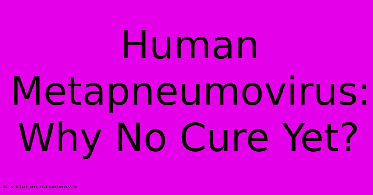 Human Metapneumovirus: Why No Cure Yet?